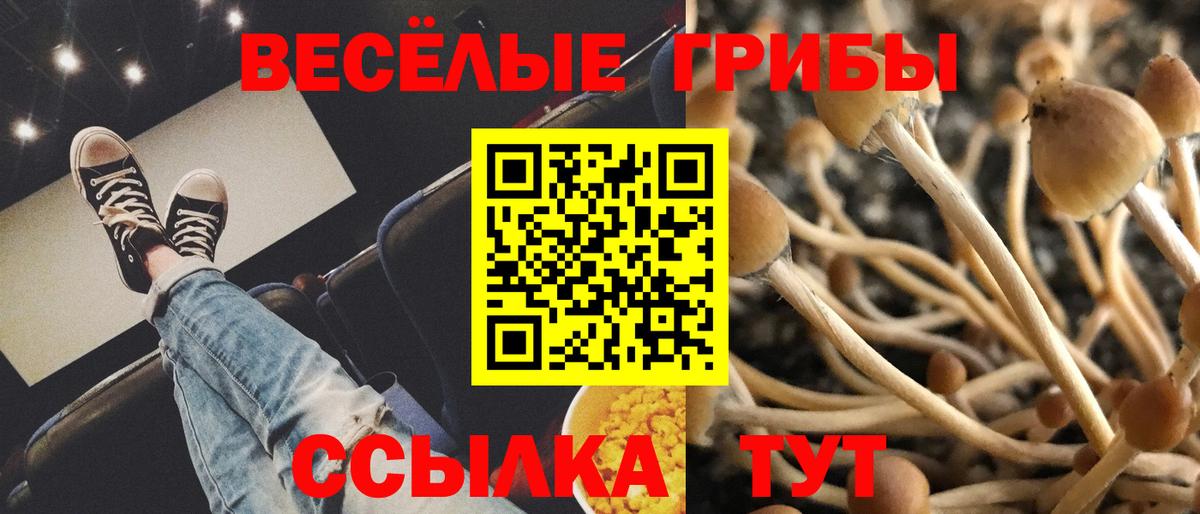Галлюциногенные грибы мицелий  Псилоцибиновые грибы MAGIC MUSHROOMS  Вход с VPN  Новый Уренгой 